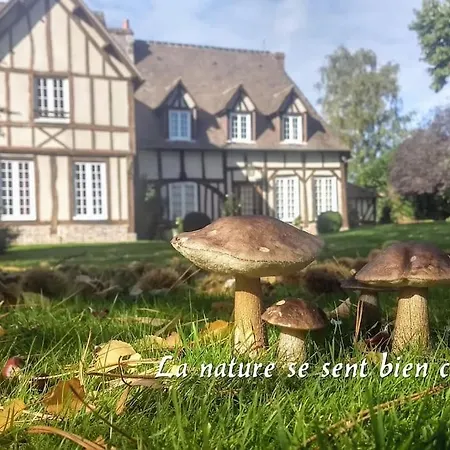 Belle Demeure Normande Dans Son Ecrin De Verdure. *